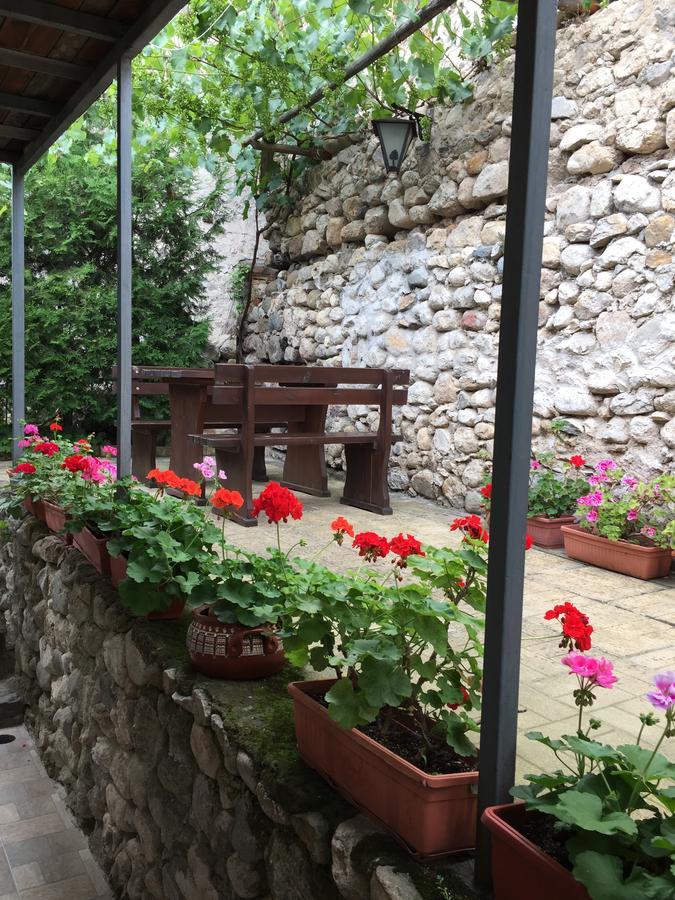 Toni'S Guest House Melnik  Buitenkant foto